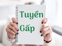 Việc làm ngay-Thu nhập ổn định khu vực Q.Bình Tân Việc làm ngay-Thu nhập ổn định khu vực Q.Bình Tân