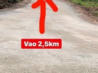 Bán Đất Vườn Trồng Cây Lâu Năm, X. Thạnh Hoà, H. Bến Lức Bán Đất Vườn Trồng Cây Lâu Năm, X. Thạnh Hoà, H. Bến Lức