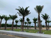 Nợ ngân hàng bán lỗ đất Nhơn Hội new City, PK4 Nợ ngân hàng bán lỗ đất Nhơn Hội new City, PK4