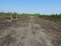 Đất nguyễn thị tú Vĩnh lộc diện tích 20x50m . 41mx36m giá 600tr công Đất nguyễn thị tú Vĩnh lộc diện tích 20x50m . 41mx36m giá 600tr công