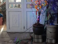 Bán nhà 1 lầu, 2 phòng ngủ, 2 wc Bán nhà 1 lầu, 2 phòng ngủ, 2 wc
