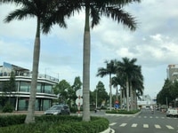 Cần bán lô đất đường gs13 khu bigC dĩ an bình dương Cần bán lô đất đường gs13 khu bigC dĩ an bình dương