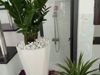 Cần người chăm chỉ sạch sẽ nhanh nhẹn làm bao ăn ở giúp việc nhà Cần người chăm chỉ sạch sẽ nhanh nhẹn làm bao ăn ở giúp việc nhà