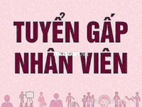 Shop Mini Cần Tuyển Gấp 03 NV Nam/Nữ Phụ Bán Hàng Shop Mini Cần Tuyển Gấp 03 NV Nam/Nữ Phụ Bán Hàng