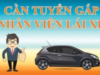 Tuyển gấp tài xế đi làm ngay tiếng anh giao tiếp lái xe SORENTO
