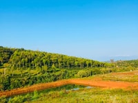 Đất Ngay TTTp Bảo Lộc-SHR Thổ cư 100m2-Hỗ Trợ VAY 50% Đất Ngay TTTp Bảo Lộc-SHR Thổ cư 100m2-Hỗ Trợ VAY 50%