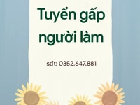 Cần tuyển 2 nhân viên nữ tại siêu thị mini Cần tuyển 2 nhân viên nữ tại siêu thị mini
