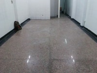 Nhà 2 lầu 4x16 mặt tiền trung tâm chợ Phạm Thế Hiển Q8 Nhà 2 lầu 4x16 mặt tiền trung tâm chợ Phạm Thế Hiển Q8