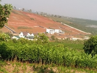 Biệt thự hoàng gia ROYA VILLAS 525M2 sẵn 200M thổ cư giá chỉ 3tr/m2