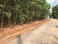 Đất đường DT769, Lộc An, 45x55m=2.500m2, đối diện tái định cư Lộc An Đất đường DT769, Lộc An, 45x55m=2.500m2, đối diện tái định cư Lộc An