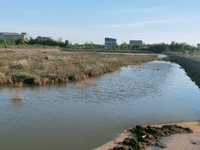 Bán rẻ 1.1 tỷ/1000m2 đất Mặt tiền Đê Tam Thôn Hiệp Cần Giờ 16900m2 Bán rẻ 1.1 tỷ/1000m2 đất Mặt tiền Đê Tam Thôn Hiệp Cần Giờ 16900m2
