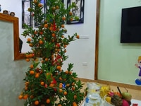 Bán gấp nhà 3 tầng gần chợ Đôn. Bán gấp nhà 3 tầng gần chợ Đôn.