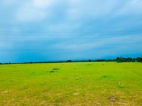 320 triệu sở hữu ngay lô đất 4.578m2 tại xã Hồng Thái 320 triệu sở hữu ngay lô đất 4.578m2 tại xã Hồng Thái