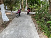 Đất Nền 2 Mặt Tiền Xã Quới Thành Châu Thành BẾN TRE 215m2 Đất Nền 2 Mặt Tiền Xã Quới Thành Châu Thành BẾN TRE 215m2