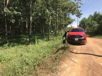 Bán 1,8 ha đất hiện hữu 300m mặt tiền đường, đường lớn thông thương Bán 1,8 ha đất hiện hữu 300m mặt tiền đường, đường lớn thông thương