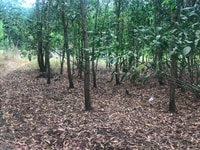 Đất Cẩm Mỹ, Đồng Nai! 2MT Cách sân bay 8Km Đất Cẩm Mỹ, Đồng Nai! 2MT Cách sân bay 8Km