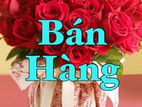 Việc làm part-time fulltime ưu tiên sinh viên quận Bình Tân Việc làm part-time fulltime ưu tiên sinh viên quận Bình Tân
