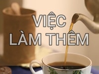 Việc làm thêm cho sinh viên có parttime quận Gò Vấp Việc làm thêm cho sinh viên có parttime quận Gò Vấp