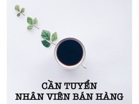 Việc làm part time khu vực quận Gò Vấp Việc làm part time khu vực quận Gò Vấp