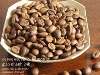 Cung cấp cà phê robusta chế biến honey tại Bình Dương Cung cấp cà phê robusta chế biến honey tại Bình Dương