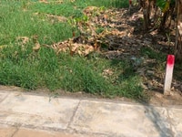 Bán gấp lô đất xây nhà trọ ngay cổng KCN Hiệp Phước 15x20m - XD Tự do Bán gấp lô đất xây nhà trọ ngay cổng KCN Hiệp Phước 15x20m - XD Tự do