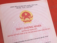 Đất hẻm 137 Phan Anh (4x12,5) giáp Tân phú - Giá 3,1 Tỷ Đất hẻm 137 Phan Anh (4x12,5) giáp Tân phú - Giá 3,1 Tỷ
