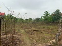 Bán đất ở Thôn 3 - Cao Nhân, Thuỷ Nguyên, Hải Phòng Bán đất ở Thôn 3 - Cao Nhân, Thuỷ Nguyên, Hải Phòng