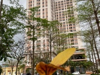 - Cơ hội sở hữu căn hộ trung cư thiết kế SINGAPORE - Cơ hội sở hữu căn hộ trung cư thiết kế SINGAPORE