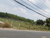Bán gấp miếng đất 2.296m, giá 3.7tr/m2, đường nhựa 25m Bán gấp miếng đất 2.296m, giá 3.7tr/m2, đường nhựa 25m