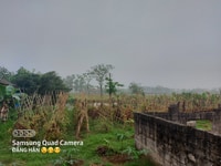 Bán nhanh 1700m2 đất Chương Mỹ view đồng giá 2,3 tỷ Bán nhanh 1700m2 đất Chương Mỹ view đồng giá 2,3 tỷ