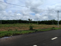 Bán lô đất mặt tiền đường hiện hữu, giáp phú giáo nhưng giá còn rẻ Bán lô đất mặt tiền đường hiện hữu, giáp phú giáo nhưng giá còn rẻ