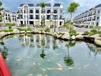 Bán Gấp Nhà MT Hùng Vương Ngay Vincom 3 tỷ 6x20 full nội thất. Bán Gấp Nhà MT Hùng Vương Ngay Vincom 3 tỷ 6x20 full nội thất.