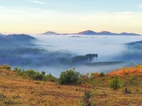 Đất view rừng thông và săn mây cực đẹp Đạ Sar (view y hình) Đất view rừng thông và săn mây cực đẹp Đạ Sar (view y hình)