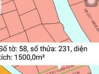 Mặt tiền Phan Văn Đáng 3 tỷ/ 1000m2 Cây Lâu Năm Mặt tiền Phan Văn Đáng 3 tỷ/ 1000m2 Cây Lâu Năm