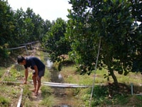 Bán 8.800m2 đất xã Mỹ Đức Đông, Cái Bè, Tiền Giang. Bán 8.800m2 đất xã Mỹ Đức Đông, Cái Bè, Tiền Giang.