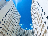 Cho thuê căn hộ Tecco Town Bình Tân - 55m2 - 2PN 1WC Cho thuê căn hộ Tecco Town Bình Tân - 55m2 - 2PN 1WC