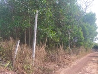 18000m2 vườn tràm xã bảo bình huyện cẩm mỹ 18000m2 vườn tràm xã bảo bình huyện cẩm mỹ