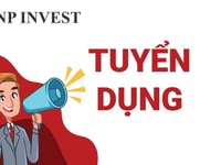 Cần tuyền nhân sự Công ty BNP Quận 1 Cần tuyền nhân sự Công ty BNP Quận 1