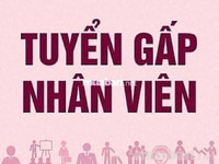 Cần tuyển gấp nhân viên bán hàng ,thủ kho ,tư vấn sản phẩm ,giao hàng. Cần tuyển gấp nhân viên bán hàng ,thủ kho ,tư vấn sản phẩm ,giao hàng.