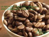 Cung cấp cà phê hạt nguyên chất giá sỉ 24 tháng tại Thuận An,Bình Dươn Cung cấp cà phê hạt nguyên chất giá sỉ 24 tháng tại Thuận An,Bình Dươn
