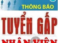 Cửa hàng tiện lợi cần thêm nhân viên thu ngân ưu tiên có Kinh nghiệm Cửa hàng tiện lợi cần thêm nhân viên thu ngân ưu tiên có Kinh nghiệm