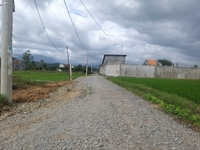 Bán 549m2 đất Cây lâu năm nằm ngay gần uỷ ban xã Ninh Trung Bán 549m2 đất Cây lâu năm nằm ngay gần uỷ ban xã Ninh Trung