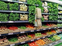 Tuyển gấp 5 bạn nam nữ lao động phổ thông Tuyển gấp 5 bạn nam nữ lao động phổ thông