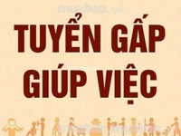 TÌM GIÚP VIỆC NHÀ chung cư Mỹ Đình, lương 6 triêu/tháng.