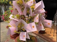 Bán lô đất nhơn hòa, sau lưng UBND Bán lô đất nhơn hòa, sau lưng UBND