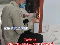 Diệt Mối Tận Gốc Tại Bình Dương Diệt Mối Tận Gốc Tại Bình Dương