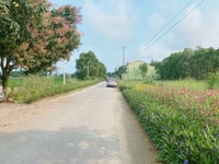 Bán đất lối 2 đường Lý Nam Đế, P.Nghi Hương, tx Cửa Lò. Bán đất lối 2 đường Lý Nam Đế, P.Nghi Hương, tx Cửa Lò.