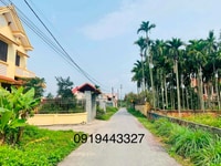 Em có lô Thị Trấn gần trường THPT ở trung tâm huyện Kiến Thụy, Hải Phò Em có lô Thị Trấn gần trường THPT ở trung tâm huyện Kiến Thụy, Hải Phò