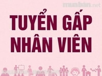 Chuỗi cửa hàng Thông Báo Tuyển Dụng Nhân Sự Chuỗi cửa hàng Thông Báo Tuyển Dụng Nhân Sự