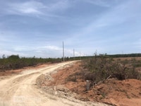 Đất trồng cây lâu năm cách quốc lộ 1a 500m nhà dân 300m Đất trồng cây lâu năm cách quốc lộ 1a 500m nhà dân 300m